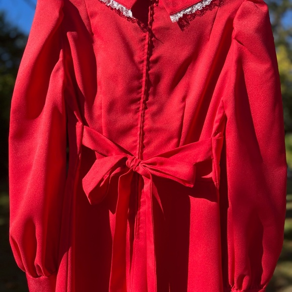 Vintage Gown - Picture 3 of 8